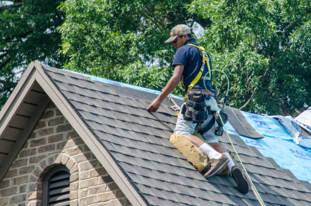 Best Roof Gutter Cleaning  in White Plains, NY